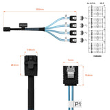 Pi+® (PiPlus®) Mini SAS to SATA Cable-50cm